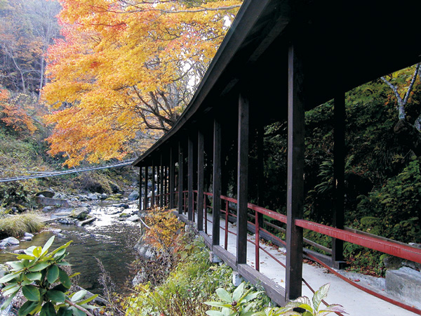 天栄村の秋の風景