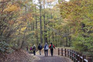 羽鳥湖高原ウオーク